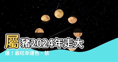 屬豬幸運色2024|2024屬豬幾歲、2024屬豬運勢、屬豬幸運色、財位、禁忌